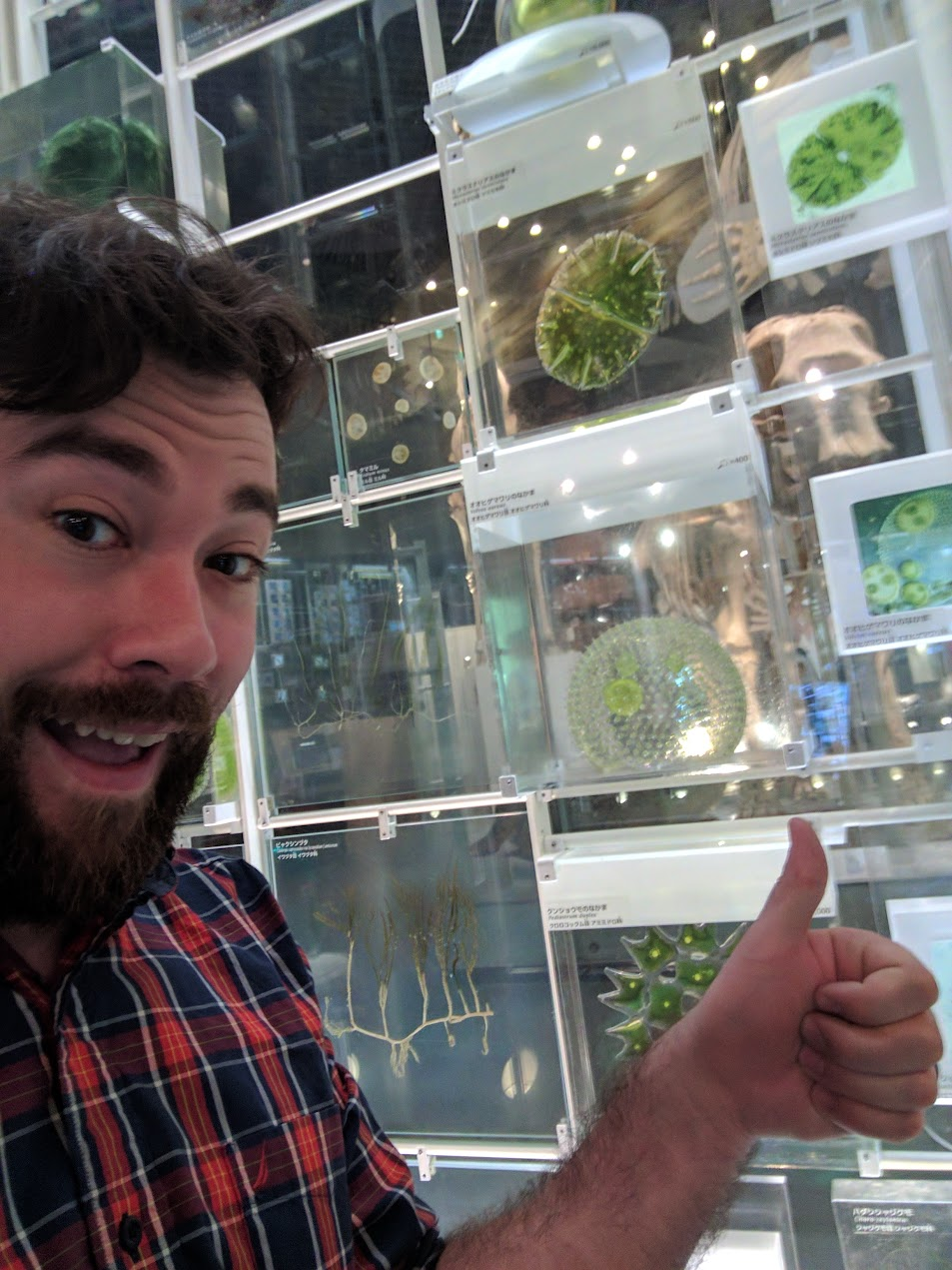 New Faculty Spotlight – Nicholas Lorusso
